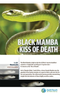 Poster Black Mamba: Kiss of Death