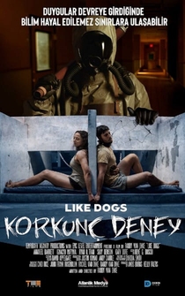 Poster Like Dogs