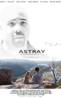 Poster Astray