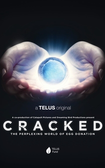 Poster Cracked: The Perplexing World of Egg Donation