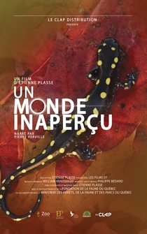 Poster Un monde inaperçu