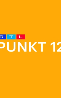 Poster Punkt 12