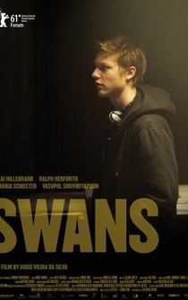 Poster Swans