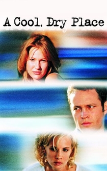 Poster de Un dilema de amor