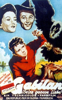 Poster de Valle de ternura