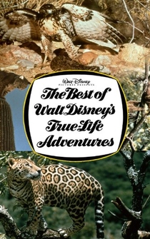 Poster The Best of Walt Disney's True-Life Adventures