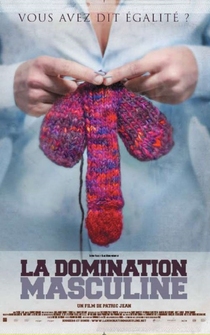 Poster La domination masculine