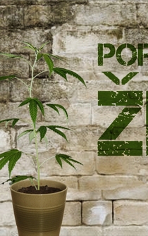 Poster Porocilo: Zbe