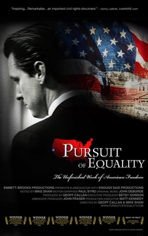 Poster Pursuit of Equality