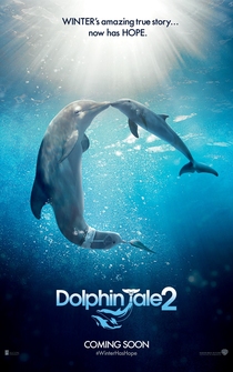 Poster de Winter - El delfín 2