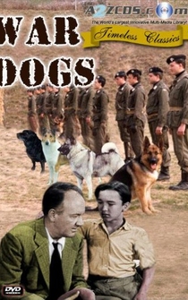 Poster War Dogs