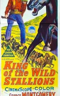 Poster King of the Wild Stallions