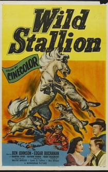 Poster Wild Stallion