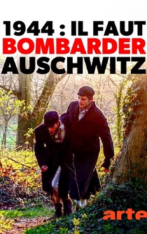 Poster 1944: Bomben auf Auschwitz?