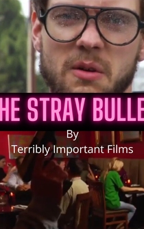 Poster The Stray Bullet