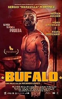 Poster Búfalo