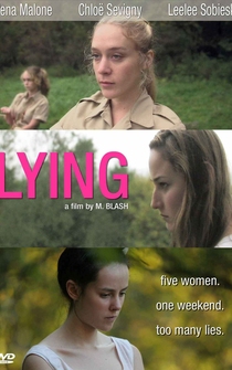 Poster de Lying