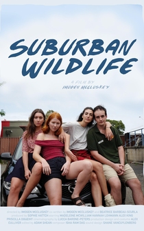 Poster Suburban Wildlife