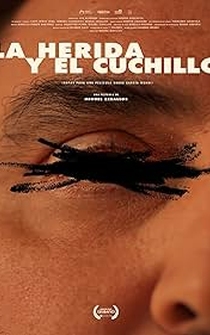 Poster La herida y el cuchillo (Notas para un film sobre Emilio García Wehbi)