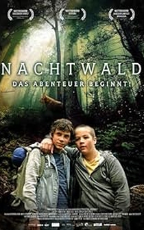 Poster Nachtwald