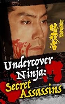 Poster Undercover Ninja: Secret Assassins