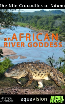 Poster African River Goddess